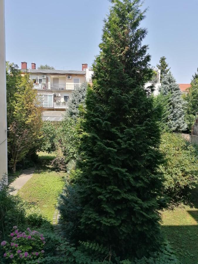 A Jump From Downtown Apartment Budapest Exterior photo